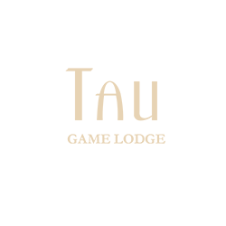 Lodge in Kyalami Park, Gauteng - Tau Game Lodge Reservations