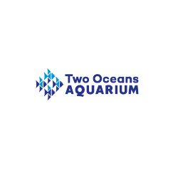 Zoo in Victoria & Alfred, Western Cape - Two Oceans Aquarium